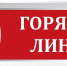 В аппарате Уполномоченного состоится «горячая линия» по вопросам обеспечения инвалидов средствами реабилитации - Гатчинская правда