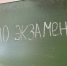 Девятиклассники Ленобласти сдали последние выпускные экзамены - Гатчинская служба новостей