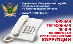 Гатчинцы могут позвонить на