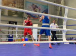 Гатчина принимала Чемпионат СЗФО по боксу