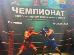 Гатчина принимала Чемпионат СЗФО по боксу
