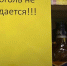 В День молодёжи в Ленобласти алкоголь не купишь - Гатчинская правда