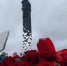 Видеоролик о мемориале в Зайцево - победитель Всероссийского конкурса - Гатчинская служба новостей