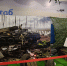 Гатчинцев приглашают на выстувку - Гатчинская служба новостей