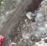 Под Гатчиной возгорание на полигоне отходов - Гатчинская служба новостей