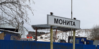 «Монита» под Вырицей снова горит - Гатчинская служба новостей