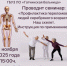 Гатчинцев - Гатчинская служба новостей