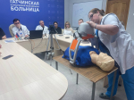 Областные парламентарии оценили работу Гатчинской КМБ