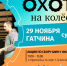 Акция по сбору шин пройдет в Гатчине 29 ноября - Гатчинская служба новостей