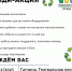 Гатчинцев приглашают на последнюю в этом году экоакцию - Гатчинская служба новостей