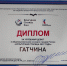 Гатчина награждена дипломом за успешный дебют - Гатчинская служба новостей