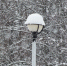 В понедельник в нескольких поселениях Гатчинского округа отключат электричество - Гатчинская служба новостей
