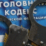 Задержана рецидивистка из Батово - Гатчинская правда