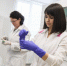 Ленинградская область празднует День науки - Гатчинская правда