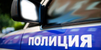 Полицейскими Гатчинского района задержан дебошир за хулиганскую выходку - Гатчинская правда