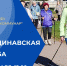 Жители Коммунара возьмутся за палки - Гатчинская служба новостей