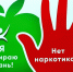В Ленинградской области стартует антинаркотическая акция - Gatchinka.Ru