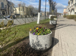 Весна в полном расцвете!