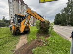 Почему на улицах Гатчины Хохлова убирают кустарники?