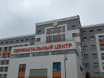 В Перинатальном центре в Гатчине начали учебный год будущие акушеры