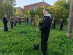 Сиреневый оазис – в честь гатчинских учителей