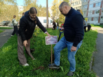 Сиреневый оазис – в честь гатчинских учителей